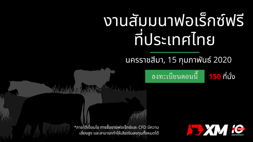 สัมมนา Forex XM โคราช
