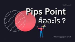 Pips คืออะไร Point คืออะไร
