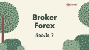 โบรกเกอร์ Forex คืออะไร